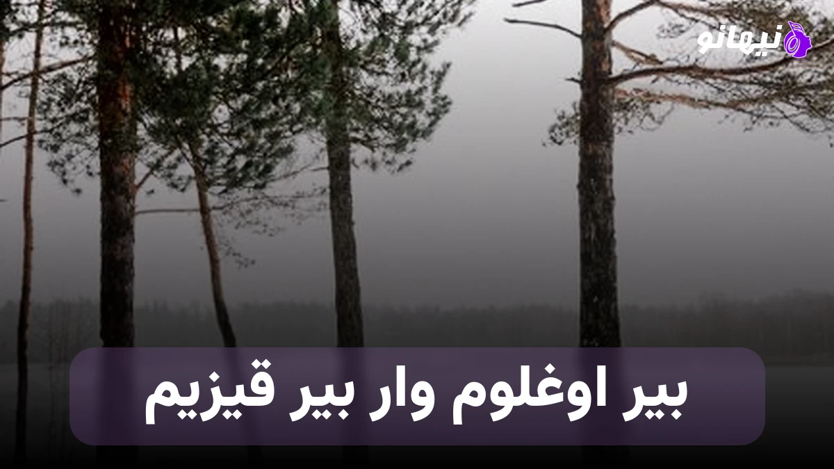 دانلود آهنگ بیر اوغلوم وار بیر قیزیم ترکی